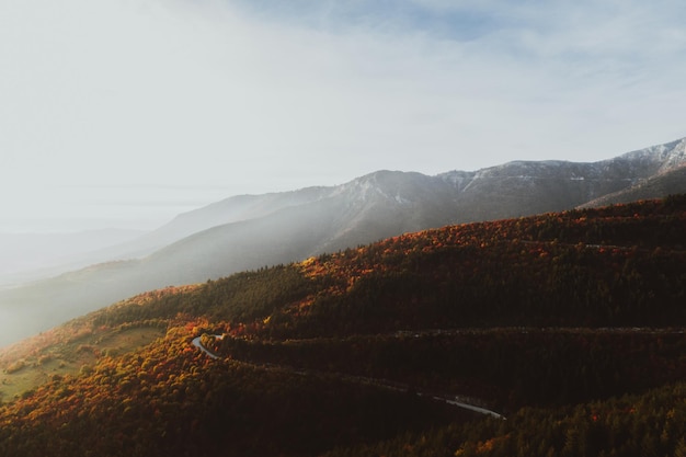 Фото вида сверху на лесную дорогу осенью.