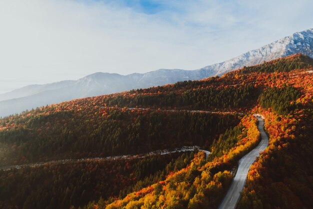 Фото вида сверху на лесную дорогу осенью.