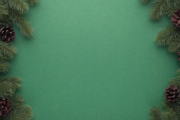 top view photo of fresh pine branches with cones on isolated green background with copyspace