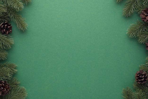 Top view photo of fresh pine branches with cones on isolated green background with copyspace