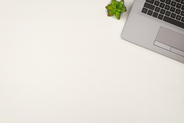 Top view photo of grey laptop and plant on isolated white wooden background with empty space