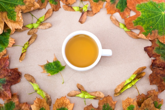 Top view photo of tea cup with yellow autumn leaves on isolated background