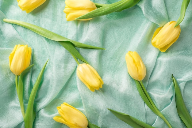 Top view photo of woman's day composition scattered yellow tulips on pastel blue textile background