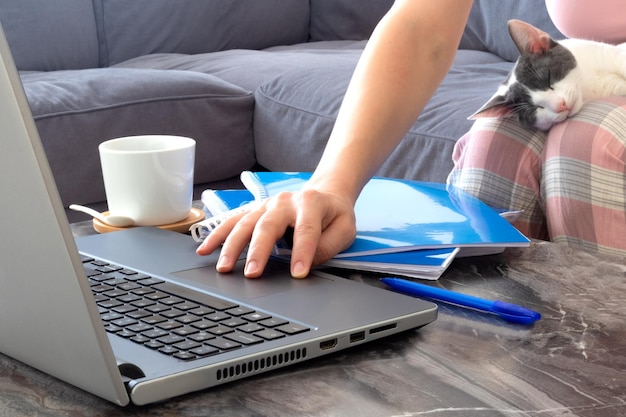 Top view photo of woman working remotely at home