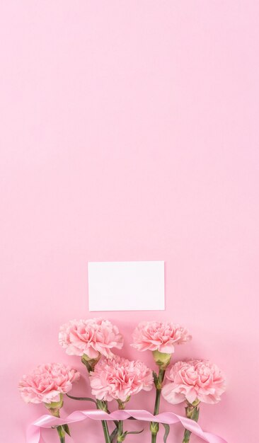 Top view of pink carnation on pink table background for Mother's Day flower