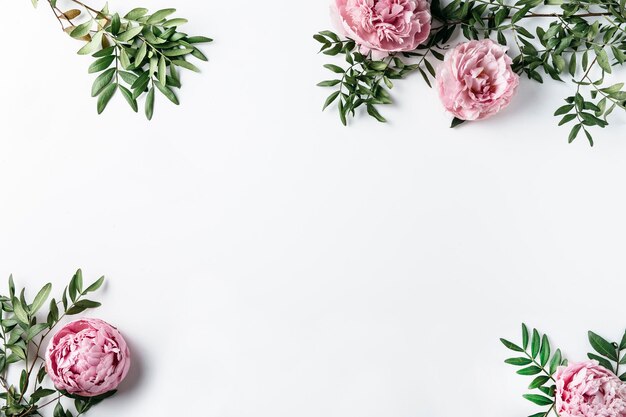 Photo top view pink carnations