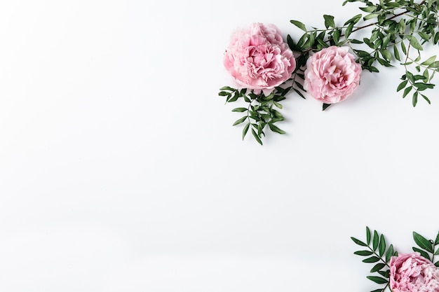 Photo top view of pink carnations