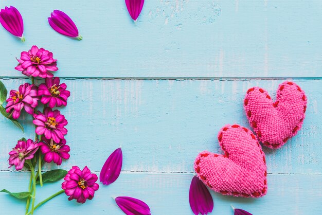 Top view  of pink double click cosmos flower with pink heart on blue background