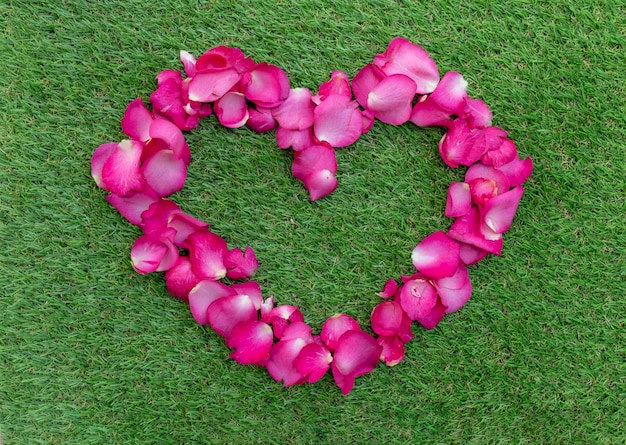 하트 모양 발렌타인 데이 컨셉으로 배열된 상위 뷰 핑크 장미 꽃잎