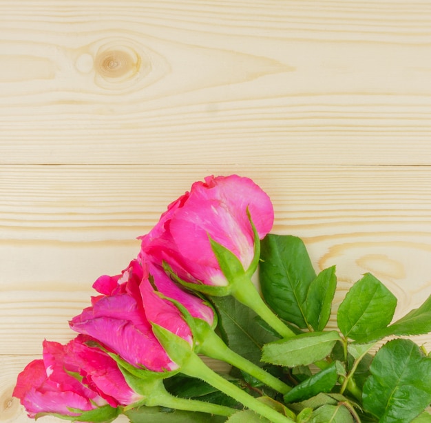 Top view pink roses on beige wooden with copyspace 