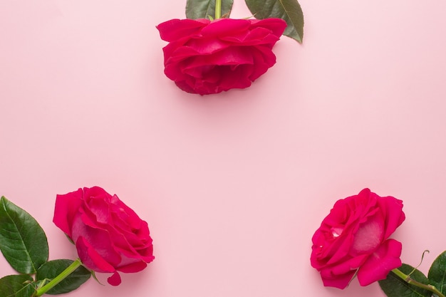 Top view of pink roses with copy space