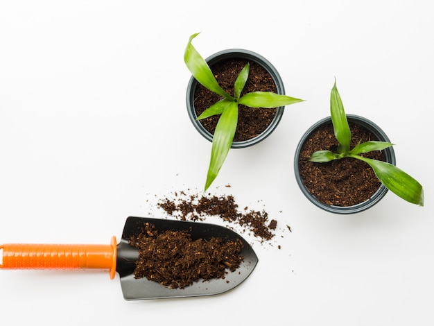 Photo top view plants with shovel full of soil