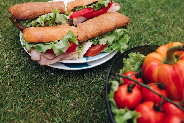自家製パンと新鮮な野菜から作られた自家製のおいしいサンドイッチのプレートの上面図。草の上の健康的なエコ野菜のボウル。