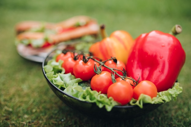 Вид сверху тарелки домашних вкусных бутербродов из домашнего хлеба и свежих овощей. Чаша здоровых эко овощей на траве.