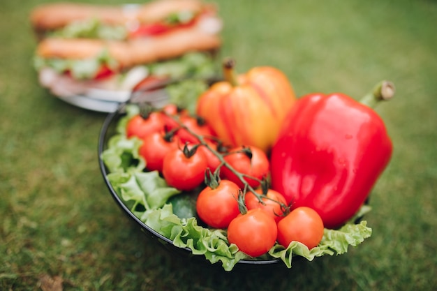 Вид сверху тарелки домашних вкусных бутербродов из домашнего хлеба и свежих овощей. Чаша здоровых эко овощей на траве.