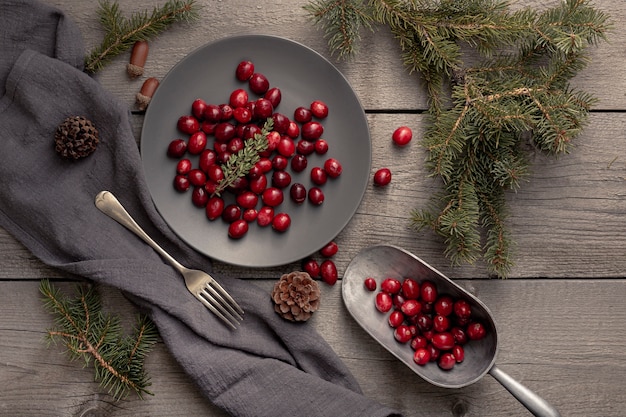 Top view of plate with cranberries and scoop