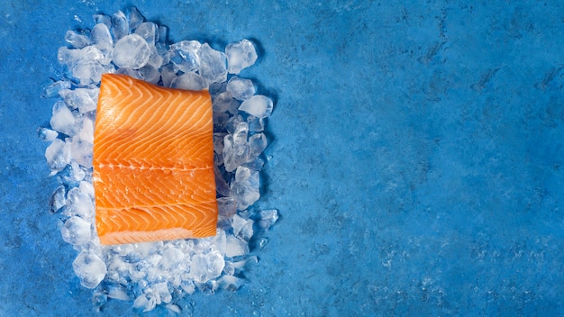 Photo top view raw trout still life