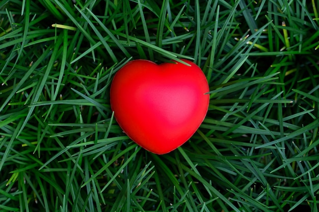 Top view of red heart placed on green grass