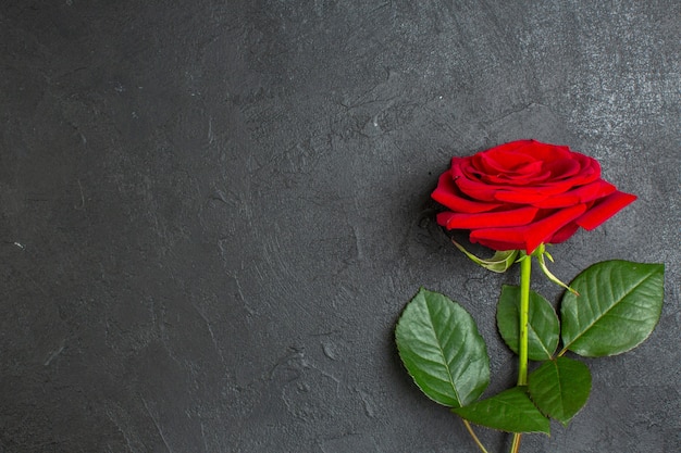 top view red rose with green leaves on dark background love couple marriage passion valentines day color present