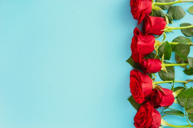 Вид сверху красной розы на синем фоне