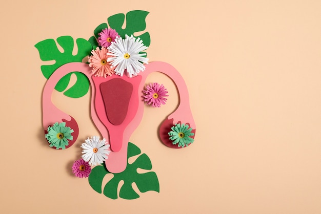 Photo top view reproductive system and flowers