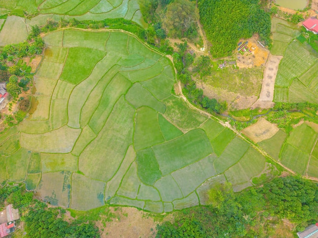 Top view of Rice fields on terraced in highway of Yen Bai Vietnam Rice fields prepare the harvest at Northwest Vietnam