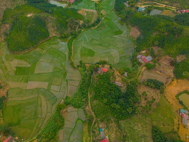 Top view of Rice fields on terraced in highway of Yen Bai Vietnam Rice fields prepare the harvest at Northwest Vietnam