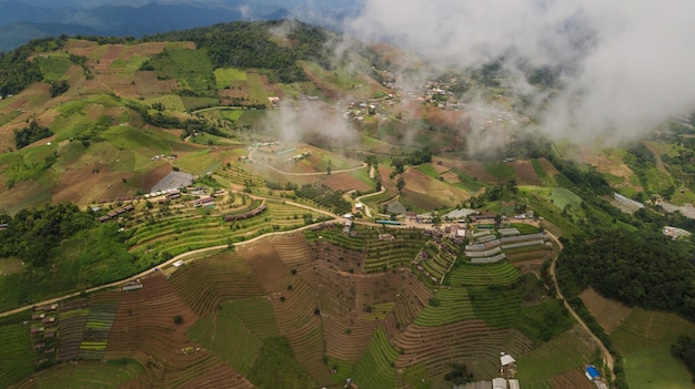 Vista dall'alto delle risaie nel nord della thailandia