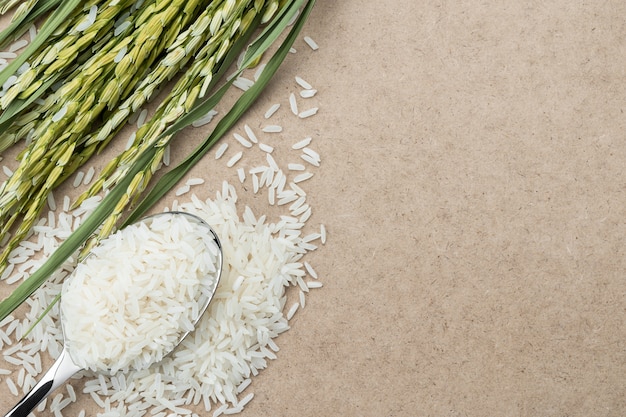 Photo top view of rice on a spoon.