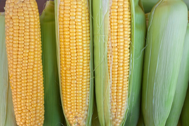 top view ripe corn cobs