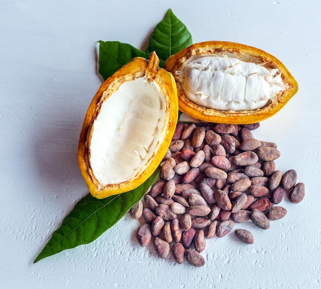 Top view of ripe fresh slide cocoa pods half in cut cocoa dry brown cocoa beans with cacao leaf