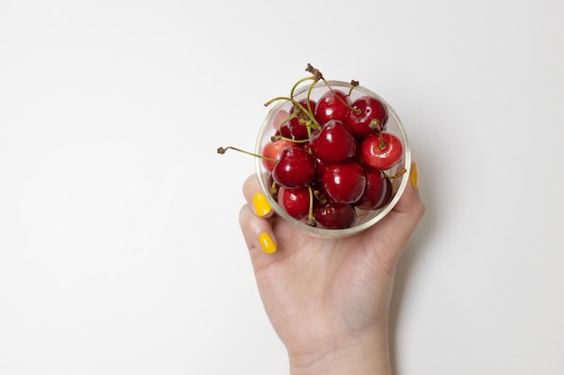 Top view of a ripe sweet cherry in woman hands on white background