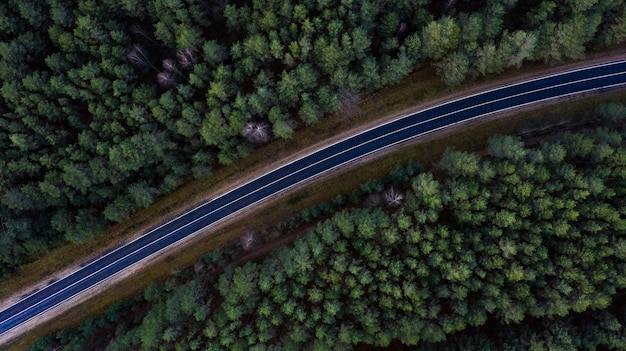 Photo top view of the road through the forest