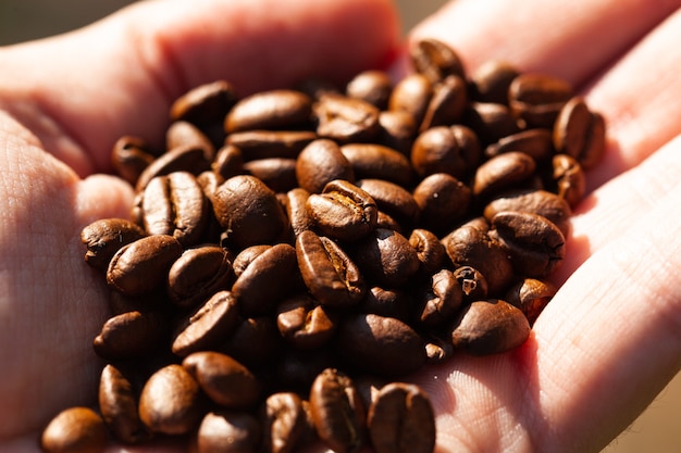 top view roasted Coffee beans