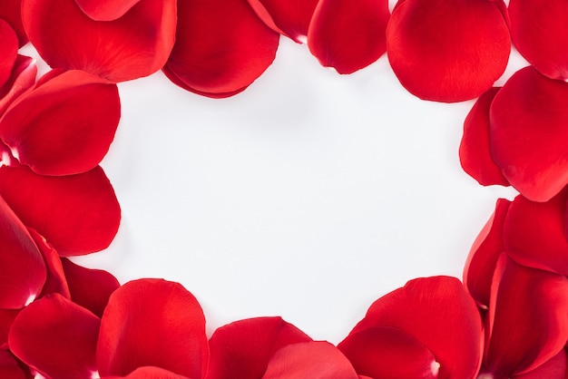 Top view of round floral frame made with red rose petals isolated on white with copy space