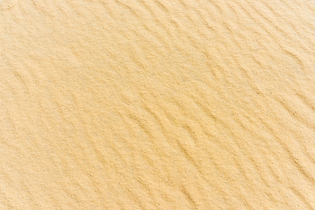 Top view of a sand sea bottom