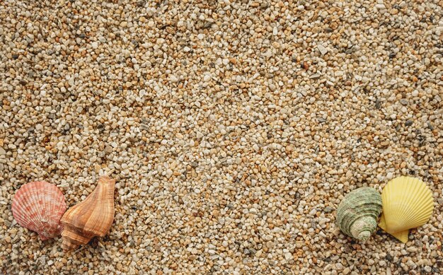 Top view of sand with seashells