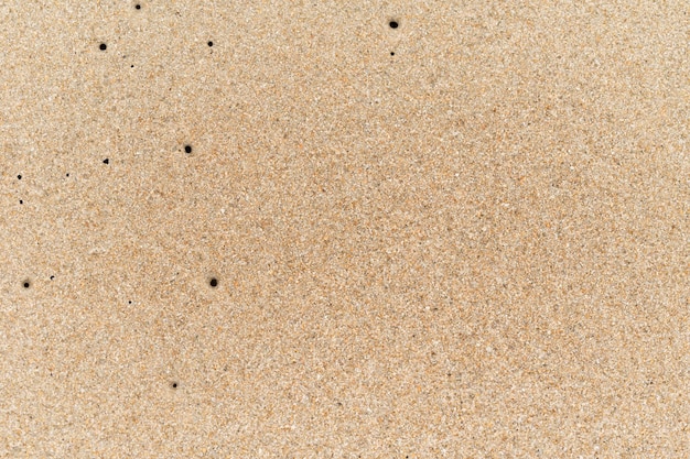 Top view of sandy beach with copy space and visible sand texture