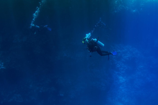 Vista dall'alto sul nuoto di gruppo di subacquei che esplorano l'acqua blu dell'oceano profondo e scuro sullo sfondo di una barriera corallina. maschio e femmina in pinne esaminano il fondale. tuffo. vita attiva. bolle d'aria.