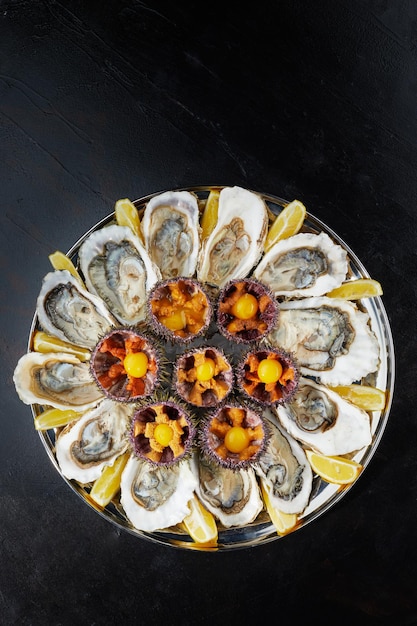 Top view of seafood platter shellfish oysters sea urchin and balsamic sauce