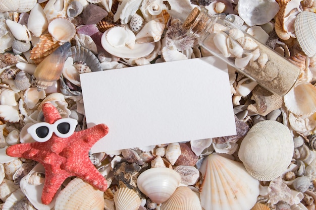 Photo top view of seashells and starfish in glasses with a sheet of paper for text. creative humorous summer abstract background flat lay with copy space