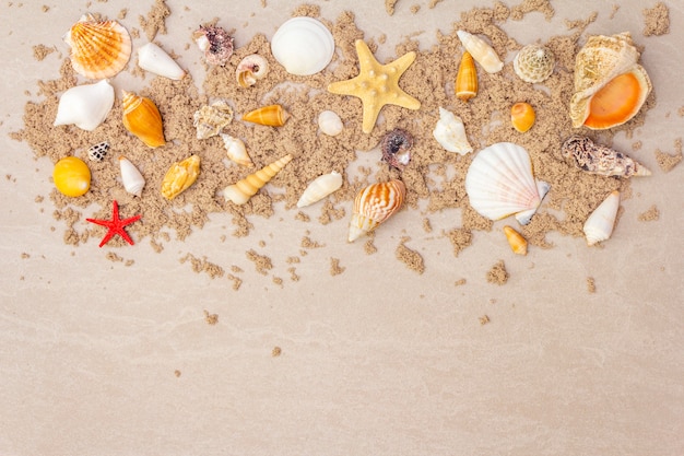 Photo top view of seashells with sand