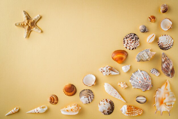 Top view of shells on yellow texture paper