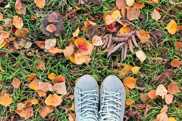 Top view shoes on autumn forest ground with frost and leaves falling on ground landscape close up of
