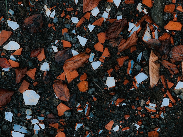 壊れた陶器の塊と葉の葉っぱの上の写真