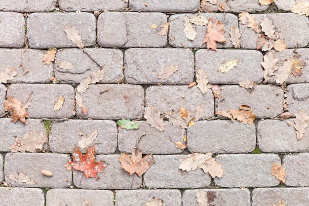 Top view on sidewalk tiles with dry autumn leaves