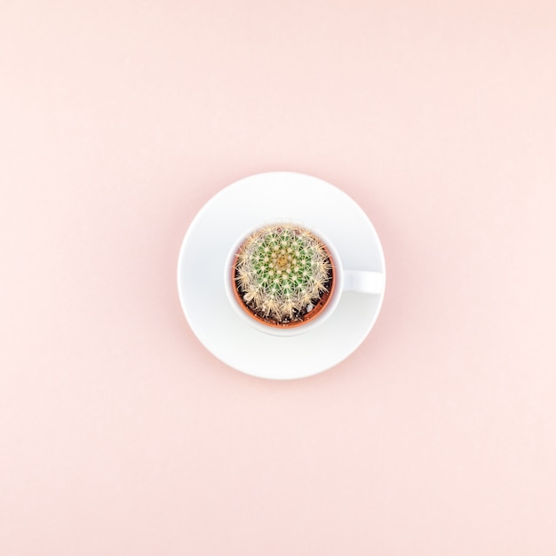 Photo top view of small cup with decorative cactus