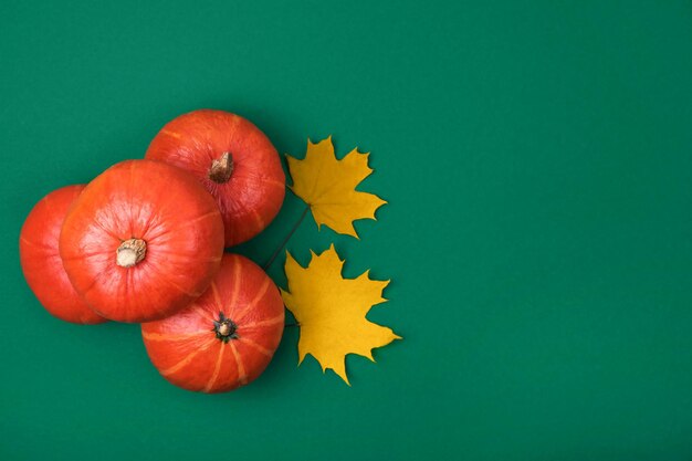 top view of small orange pumpkins and dry yellow autumn maple leaves on green background