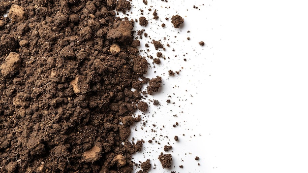 Top view of soil in a clean white surface with space for text or product Generative AI