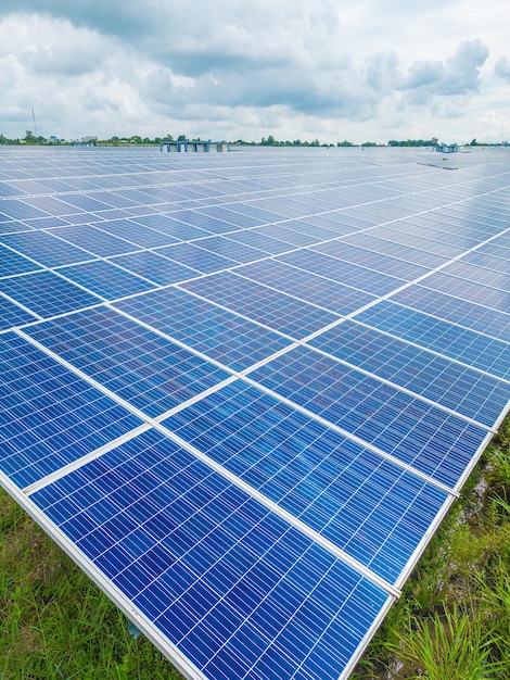 Top view of Solar panels on farm Alternative source of electricity solar panels absorb sunlight as a source of energy to generate electricity creating sustainable energy